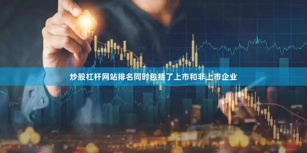 炒股杠杆网站排名同时包括了上市和非上市企业