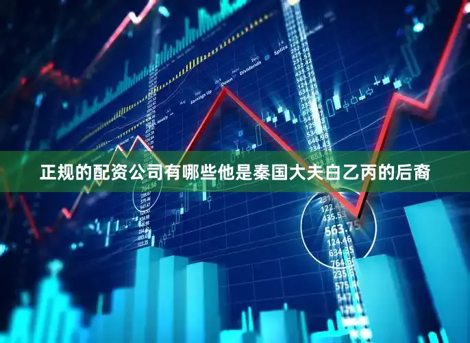 正规的配资公司有哪些他是秦国大夫白乙丙的后裔